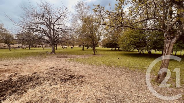 terrain à vendre - 15659.0 m2 - SEZANNE - 51 - CHAMPAGNE-ARDENNE - Century 21 Lemaire Immobilier