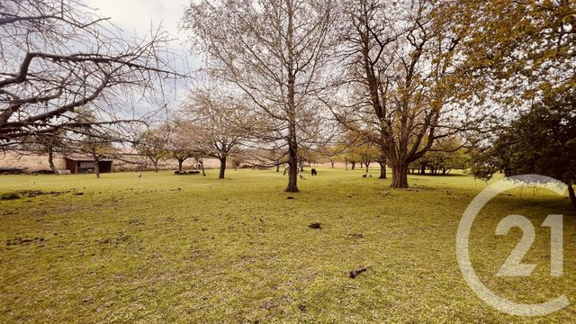 terrain à vendre - 15659.0 m2 - SEZANNE - 51 - CHAMPAGNE-ARDENNE - Century 21 Lemaire Immobilier