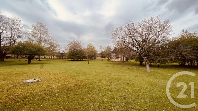 terrain à vendre - 15659.0 m2 - SEZANNE - 51 - CHAMPAGNE-ARDENNE - Century 21 Lemaire Immobilier