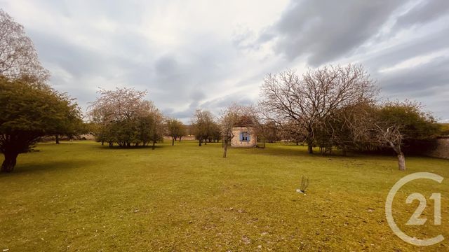 terrain à vendre - 15659.0 m2 - SEZANNE - 51 - CHAMPAGNE-ARDENNE - Century 21 Lemaire Immobilier