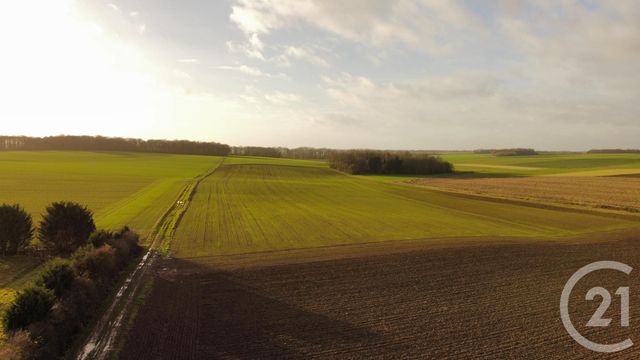 maison à vendre - 9 pièces - 330.0 m2 - ESTERNAY - 51 - CHAMPAGNE-ARDENNE - Century 21 Lemaire Immobilier