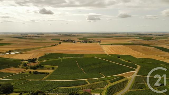 maison à vendre - 7 pièces - 155.0 m2 - SEZANNE - 51 - CHAMPAGNE-ARDENNE - Century 21 Lemaire Immobilier