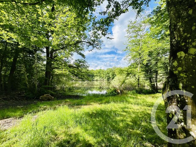 maison à vendre - 4 pièces - 85.0 m2 - ESTERNAY - 51 - CHAMPAGNE-ARDENNE - Century 21 Lemaire Immobilier