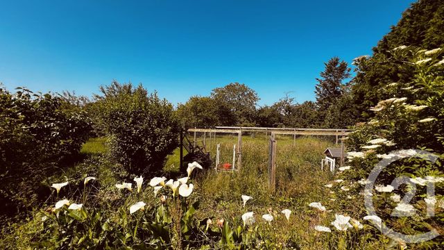 maison à vendre - 3 pièces - 80.0 m2 - ESTERNAY - 51 - CHAMPAGNE-ARDENNE - Century 21 Lemaire Immobilier