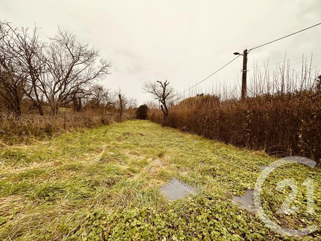 maison à vendre - 3 pièces - 83.0 m2 - ESTERNAY - 51 - CHAMPAGNE-ARDENNE - Century 21 Lemaire Immobilier