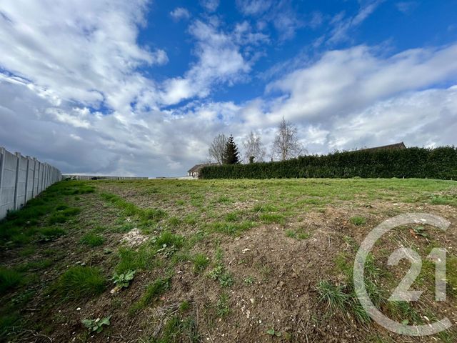 terrain - ESTERNAY - 51