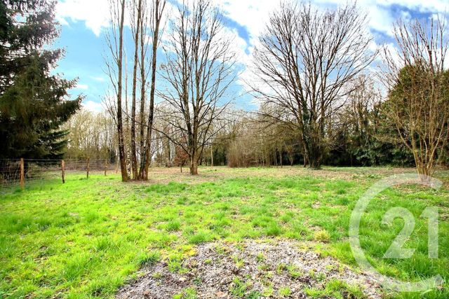 maison à vendre - 5 pièces - 150.0 m2 - SEZANNE - 51 - CHAMPAGNE-ARDENNE - Century 21 Lemaire Immobilier