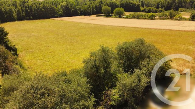 terrain à vendre - 3000.0 m2 - ESTERNAY - 51 - CHAMPAGNE-ARDENNE - Century 21 Lemaire Immobilier
