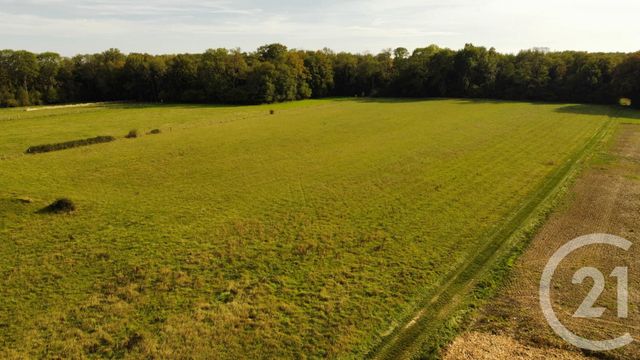 maison à vendre - 5 pièces - 147.0 m2 - LA FERTE GAUCHER - 77 - ILE-DE-FRANCE - Century 21 Lemaire Immobilier