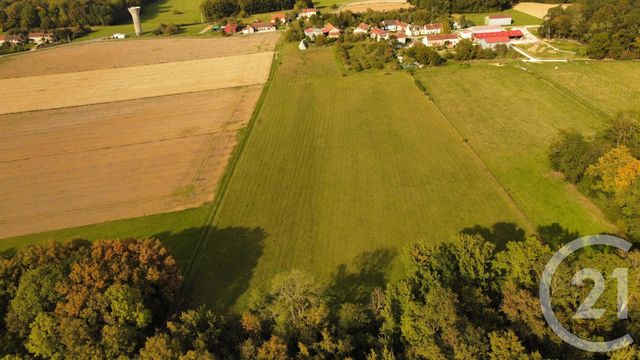 maison à vendre - 5 pièces - 147.0 m2 - LA FERTE GAUCHER - 77 - ILE-DE-FRANCE - Century 21 Lemaire Immobilier