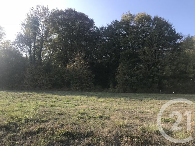 Terrain à vendre ESTERNAY