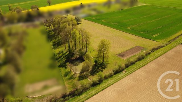 maison à vendre - 7 pièces - 135.12 m2 - MONTMIRAIL - 51 - CHAMPAGNE-ARDENNE - Century 21 Lemaire Immobilier
