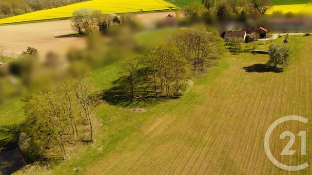 maison à vendre - 7 pièces - 135.12 m2 - MONTMIRAIL - 51 - CHAMPAGNE-ARDENNE - Century 21 Lemaire Immobilier