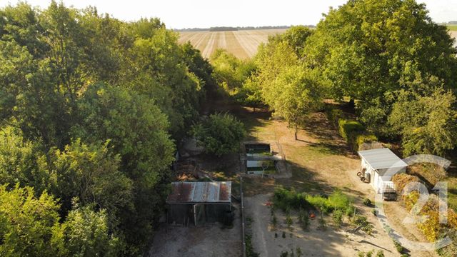 maison à vendre - 5 pièces - 156.45 m2 - SEZANNE - 51 - CHAMPAGNE-ARDENNE - Century 21 Lemaire Immobilier