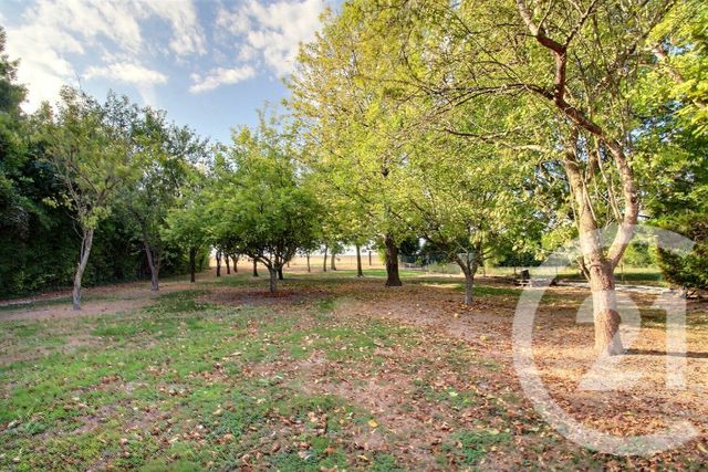 maison à vendre - 5 pièces - 156.45 m2 - SEZANNE - 51 - CHAMPAGNE-ARDENNE - Century 21 Lemaire Immobilier